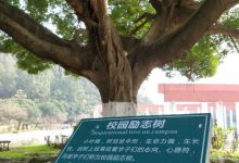 我想花多点时间放在对自己有用的地方……-广州茄子科技有限公司